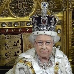 Meet your Posher, Kibbles